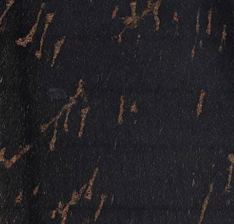Fish_Black_Granite